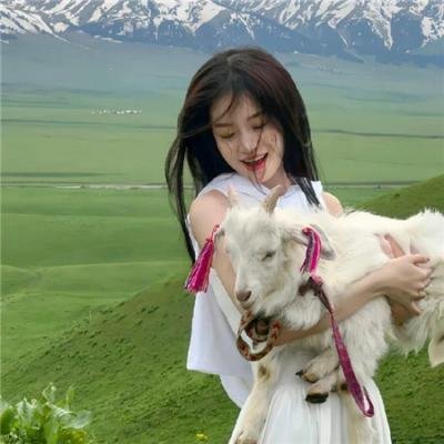 蛇蝎美人第二季