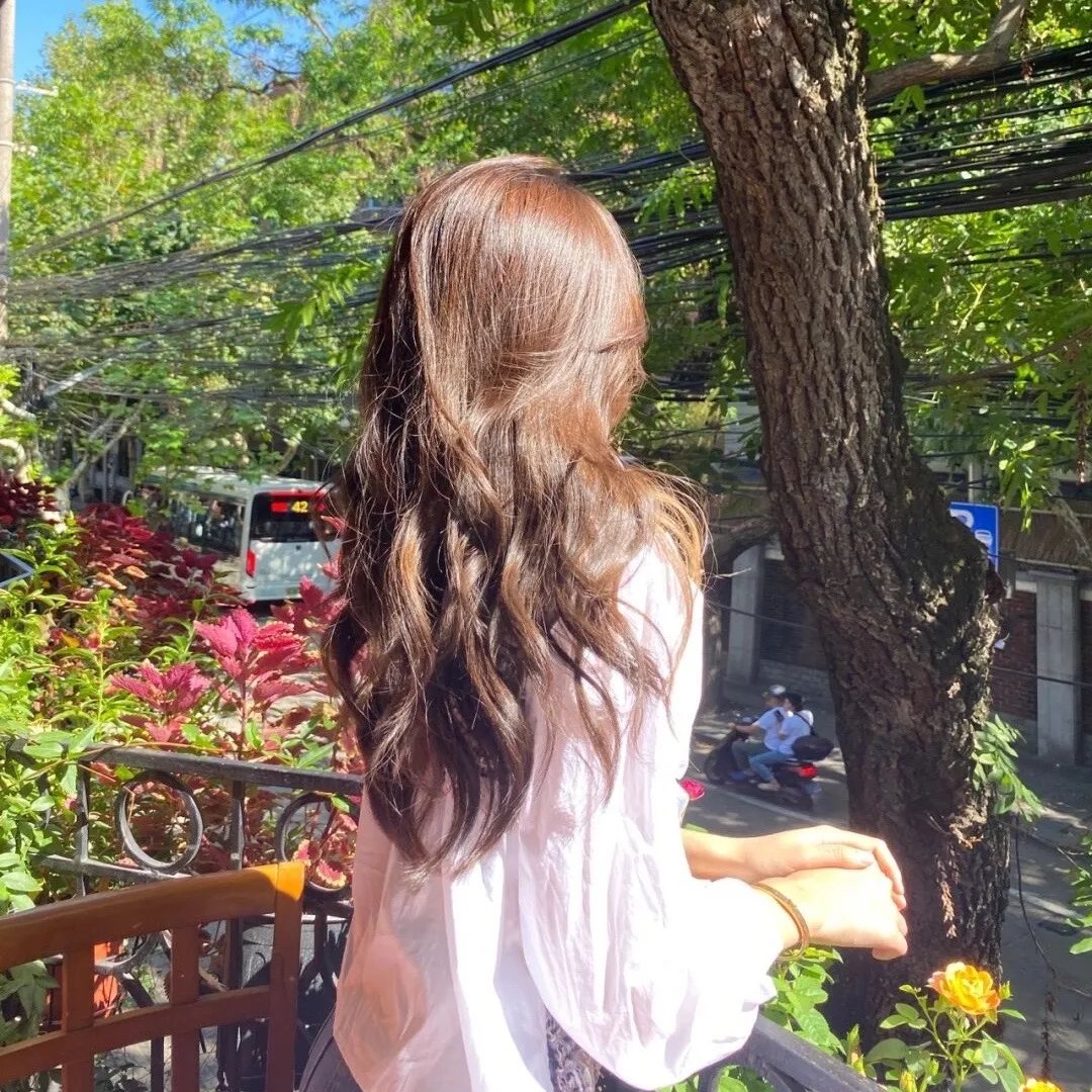 科搜研之女2022